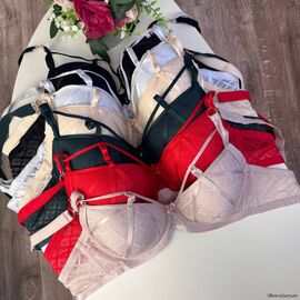 Жіночий бюстгальтер BIWEIER #31566D